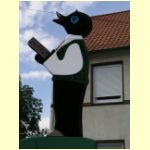 12 koeP8160646.jpg